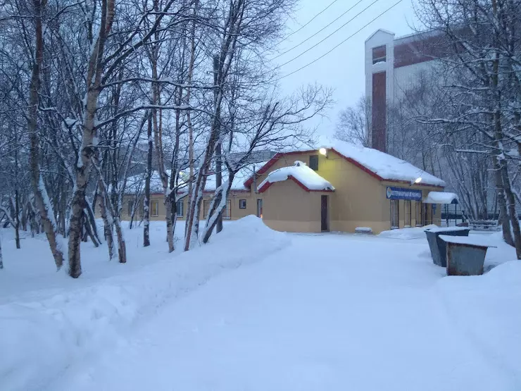 Мурманская городская ветеринарная лечебница в Мурманске, ул. Книповича, 51А  - фото, отзывы 2024, рейтинг, телефон и адрес