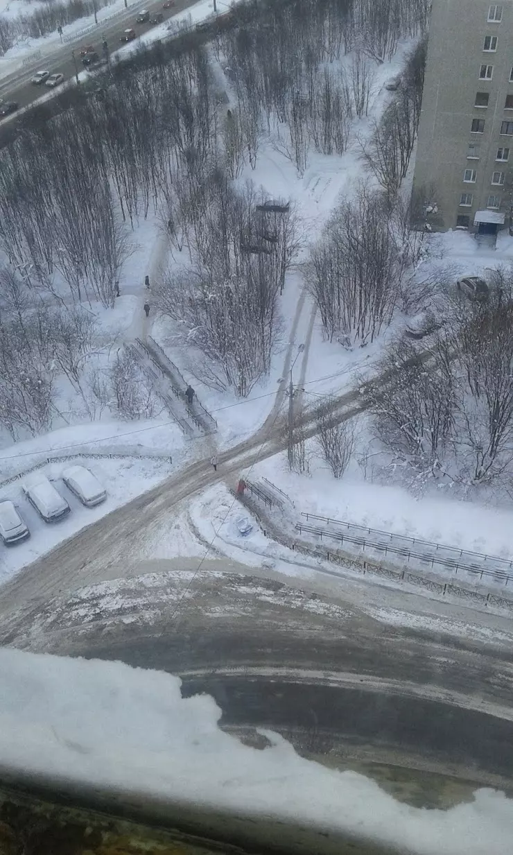 Отделение лыжные гонки МО СДЮСШОР по ЗВС в Мурманске, ул. Долина Уюта, 3Б -  фото, отзывы 2024, рейтинг, телефон и адрес