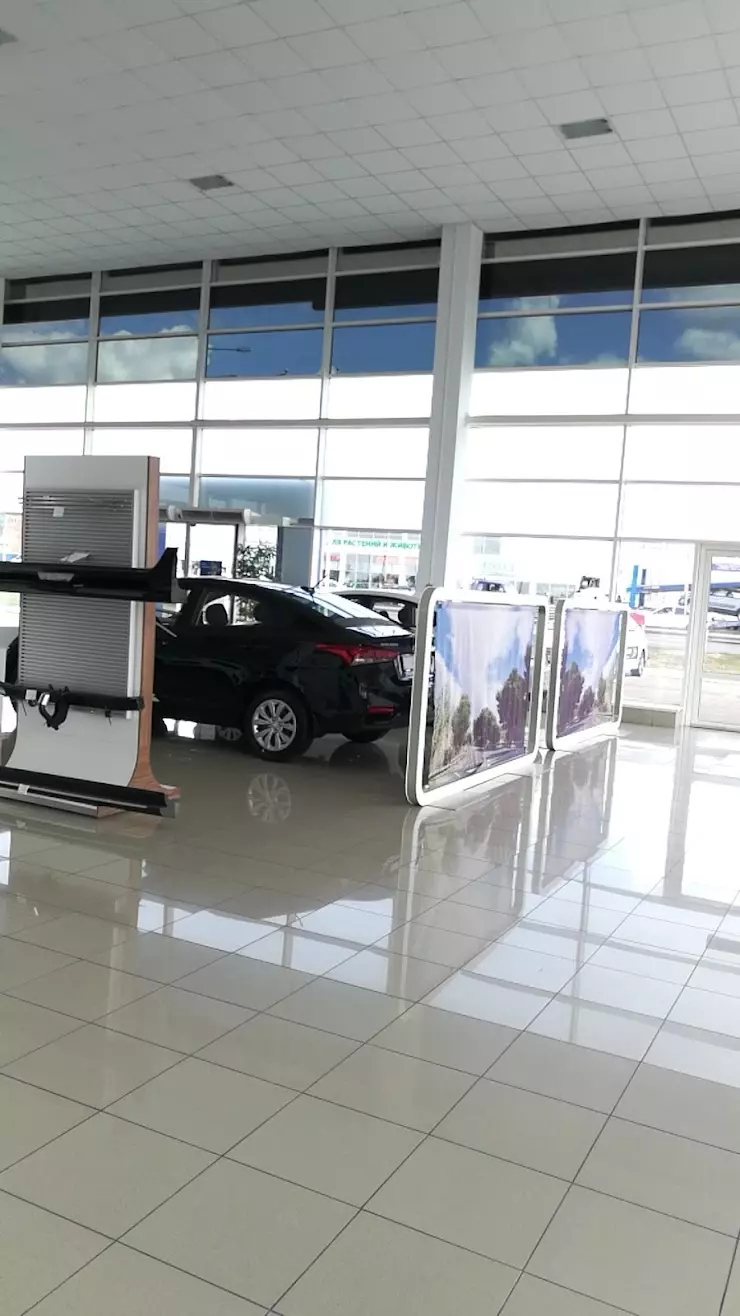 Hyundai Dealers Russia / Модус в Краснодаре, ул. Дзержинского, 229/5 -  фото, отзывы 2024, рейтинг, телефон и адрес