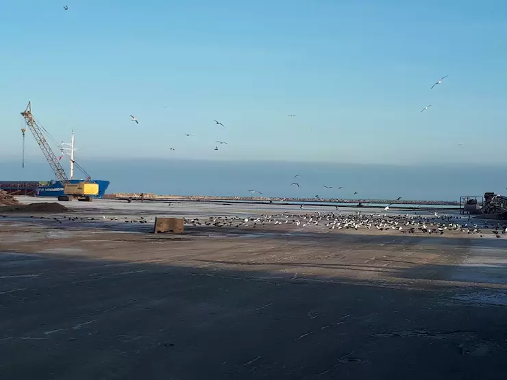 Ейск порт виста. Порт Ейск. Грузовой порт Ейск. Ейский портовый элеватор. Виста Ейск.