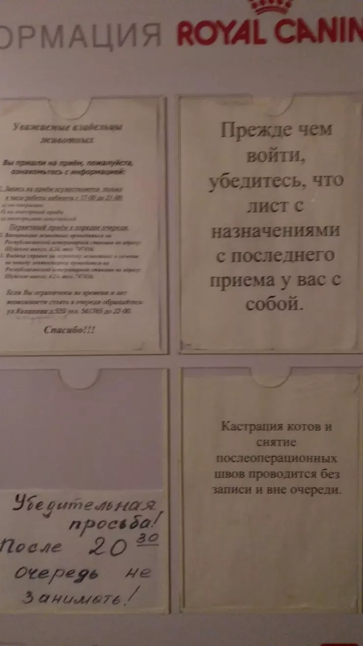 Ветеринарная клиника ИП Бокарев в Петрозаводске, ул. Фрунзе, 19Б - фото,  отзывы 2024, рейтинг, телефон и адрес