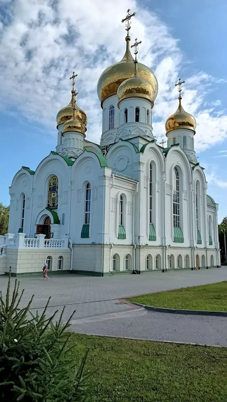 Храм во имя преподобного Серафима Саровского г.Тамбова в Тамбове, ул.  Мичуринская, 198 - фото, отзывы 2024, рейтинг, телефон и адрес