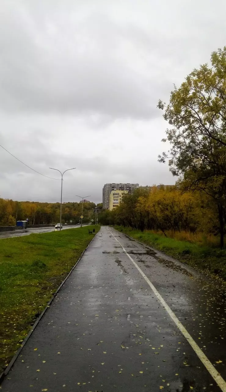 Управление Пенсионного фонда Российской Федерации в ЗАТО городе  Североморске Мурманской области в Североморске, ул. Кирова, 2А, Офис 4, 5 -  фото, отзывы 2024, рейтинг, телефон и адрес