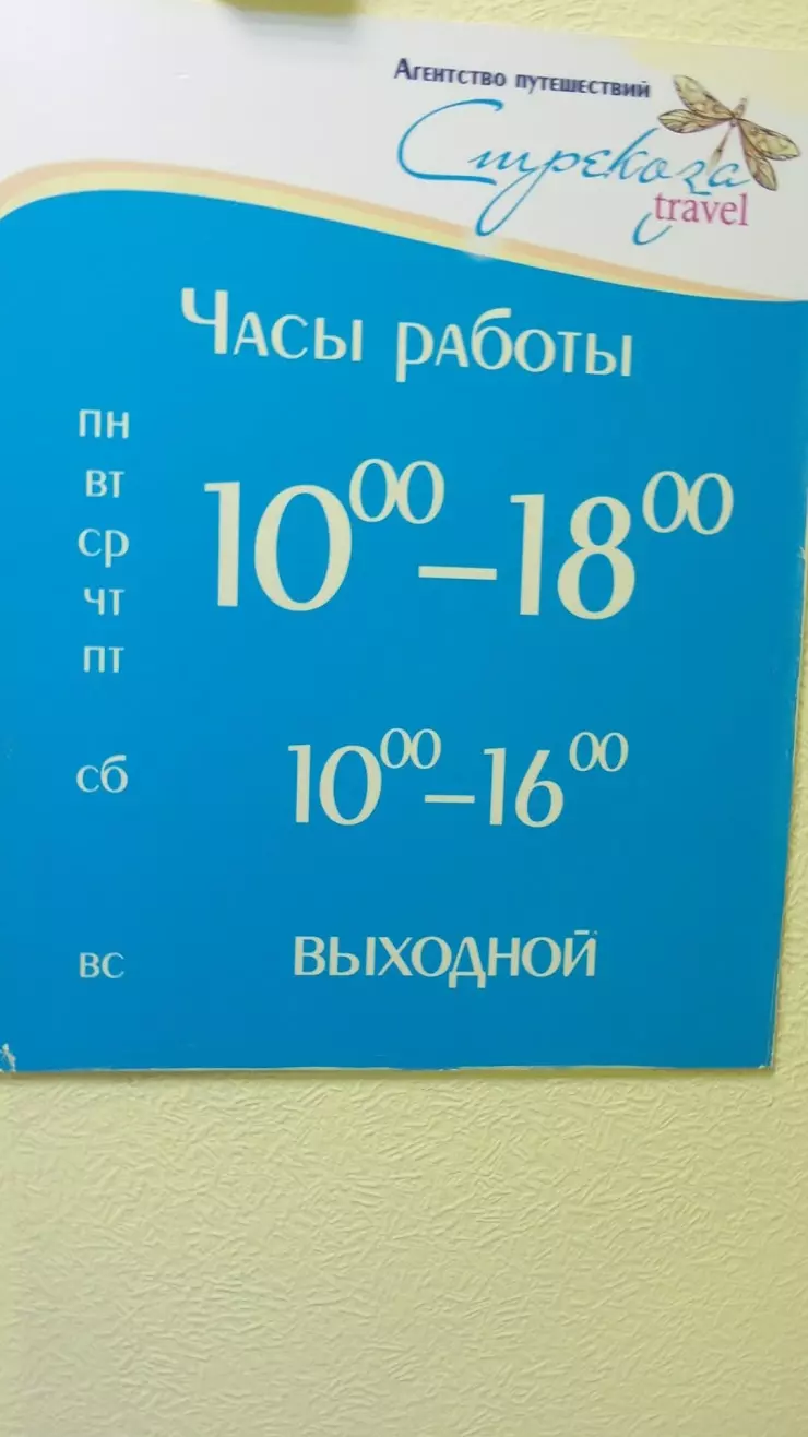 Стрекоза travel в Нижнем Тагиле, Черноисточинское ш., 70 - фото, отзывы  2024, рейтинг, телефон и адрес